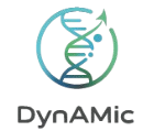 DynAMic