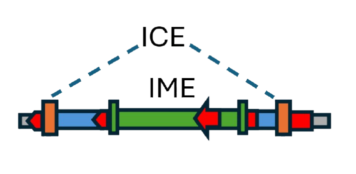 Nested elements